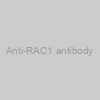 Anti-RAC1 antibody